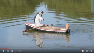 Donk and Monk Go Rowing (2)