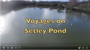 Voyages on Setley Pond