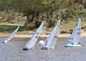 DSC00124 © Peter Taylor 2012