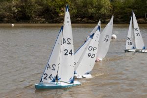 DSC00152 © Peter Taylor 2012