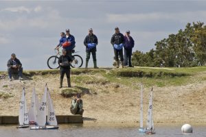DSC00162 © Peter Taylor 2012