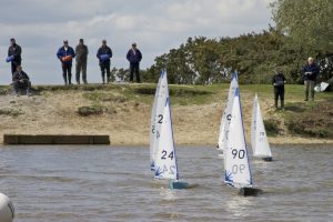 DSC00176 © Peter Taylor 2012