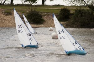 DSC00194 © Peter Taylor 2012
