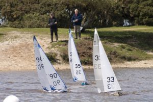 DSC00213 © Peter Taylor 2012