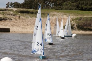 DSC00221 © Peter Taylor 2012