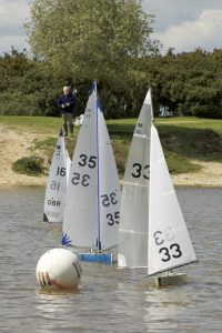 DSC00229 © Peter Taylor 2012