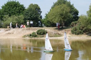 DSC00467 © Peter Taylor 2009