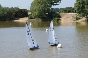 DSC00471 © Peter Taylor 2009