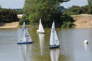 DSC00583 © Peter Taylor 2009