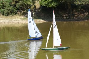 DSC00589 © Peter Taylor 2009