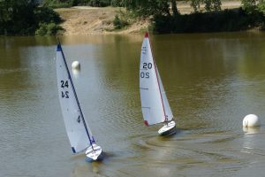 DSC00594 © Peter Taylor 2009