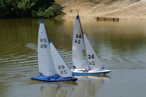 DSC00598 © Peter Taylor 2009