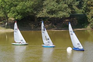 DSC00602 © Peter Taylor 2009