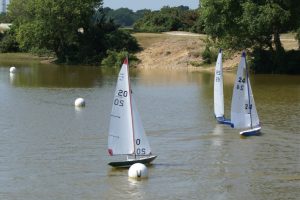 DSC00605 © Peter Taylor 2009
