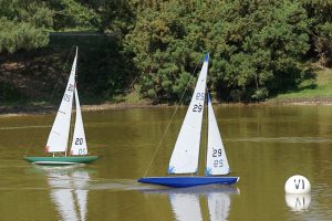 DSC00613 © Peter Taylor 2009