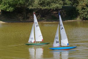 DSC00619 © Peter Taylor 2009
