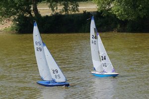 DSC00634 © Peter Taylor 2009