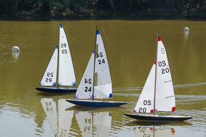 DSC00639 © Peter Taylor 2009