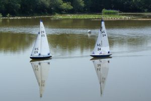 DSC00644 © Peter Taylor 2009