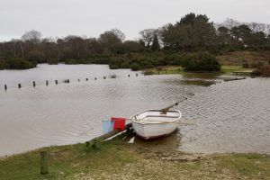 dsc02382-peter-taylor-2012