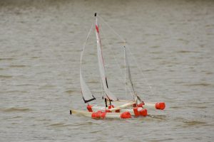 dsc02388-peter-taylor-2012