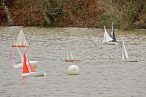dsc02458-peter-taylor-2012