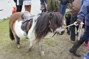 dsc02514-peter-taylor-2012