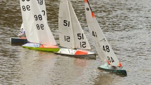 DSC03523 © Peter Taylor 2012