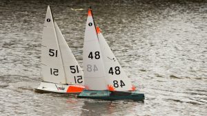DSC03610 © Peter Taylor 2012