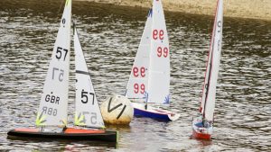 DSC03615 © Peter Taylor 2012