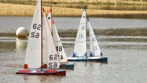 DSC03621 © Peter Taylor 2012