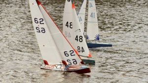 DSC03626 © Peter Taylor 2012