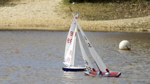 DSC03638 © Peter Taylor 2012