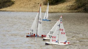 DSC03645 © Peter Taylor 2012