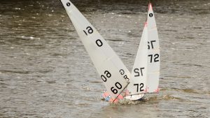 DSC03664 © Peter Taylor 2012