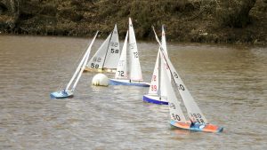 DSC03696 © Peter Taylor 2012