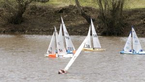 DSC03710 © Peter Taylor 2012