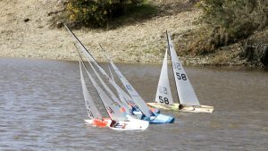 DSC03713 © Peter Taylor 2012