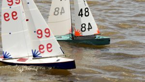 DSC03792 © Peter Taylor 2012
