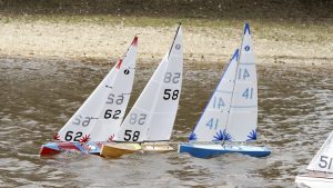 DSC03796 © Peter Taylor 2012