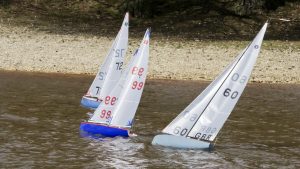 DSC03800 © Peter Taylor 2012