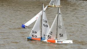 DSC03804 © Peter Taylor 2012