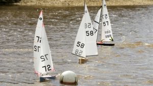 DSC03811 © Peter Taylor 2012