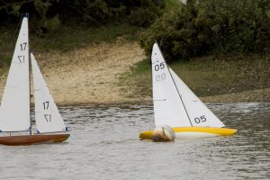 DSC03999 © Peter Taylor 2012