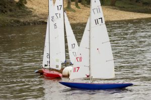 DSC04023 © Peter Taylor 2012