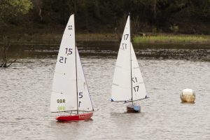 DSC04026 © Peter Taylor 2012