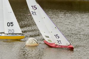 DSC04065 © Peter Taylor 2012