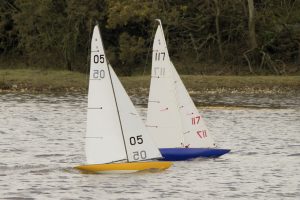DSC04102 © Peter Taylor 2012