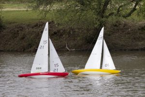 DSC04130 © Peter Taylor 2012