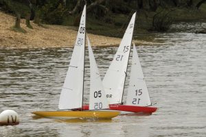 DSC04144 © Peter Taylor 2012